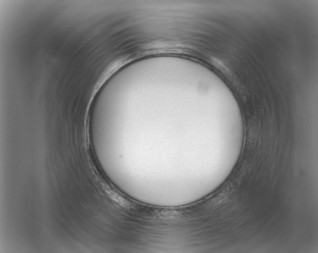 X0000056351370200509232054