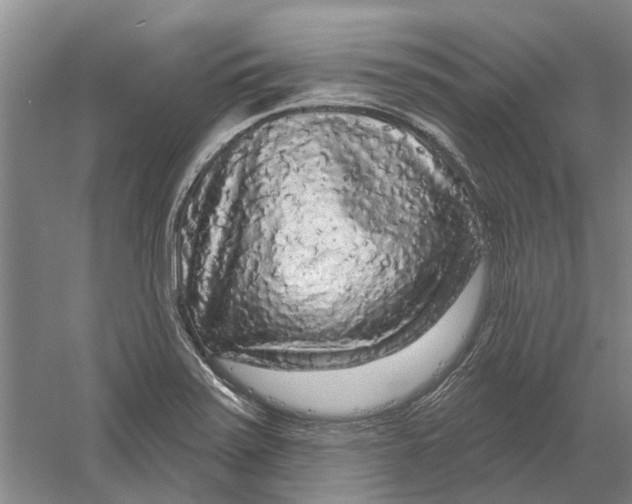 X0000056351371200509232054