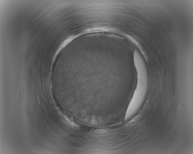 X0000056351373200509232054