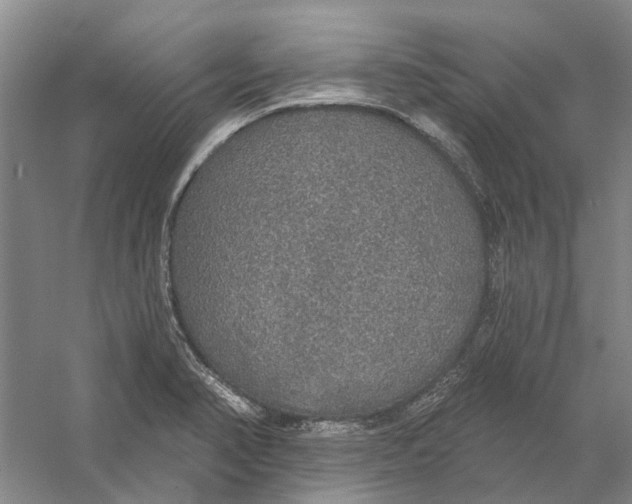 X0000056351374200509232054