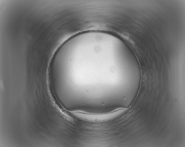 X0000056351375200509232054