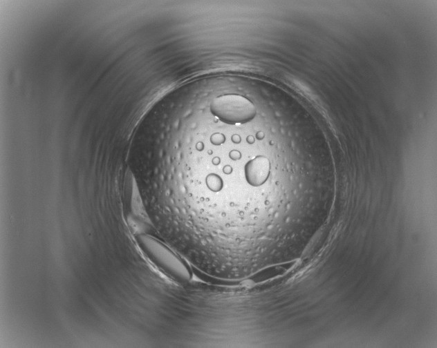 X0000056351377200509232054