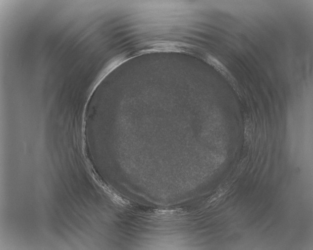 X0000056351378200509232054