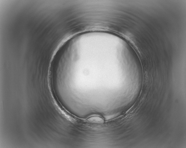 X0000056351379200509232054