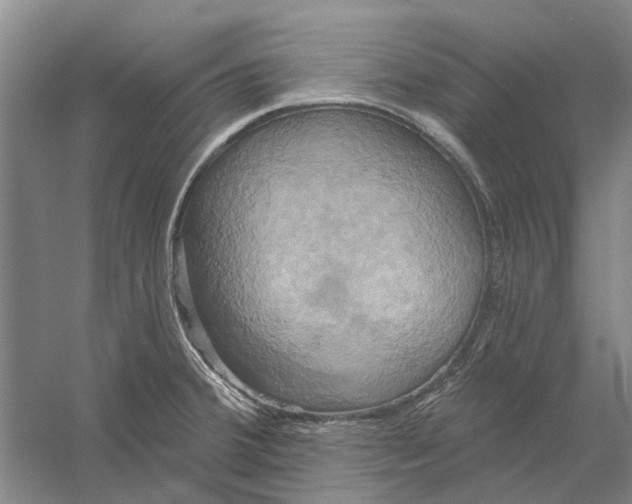 X0000056351380200509232054