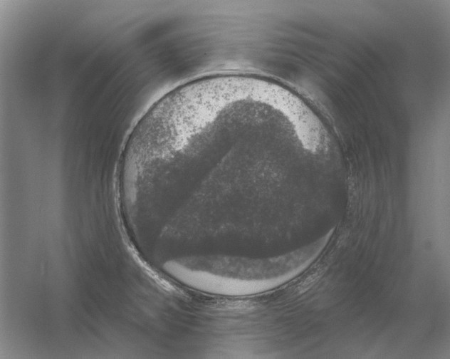 X0000056351382200509232054