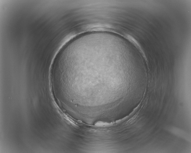 X0000056351384200509232054