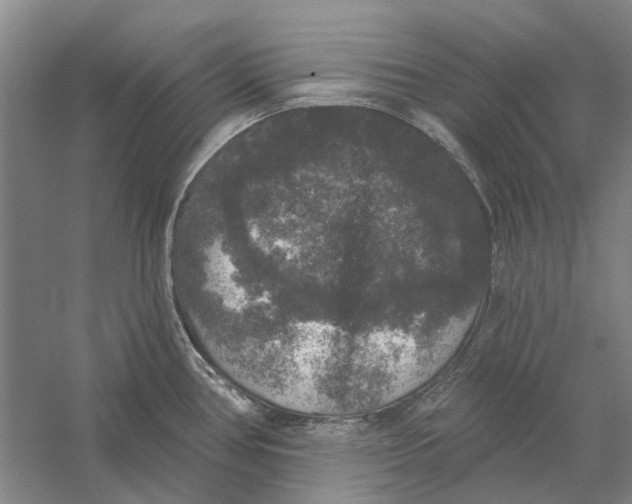 X0000056351386200509232054