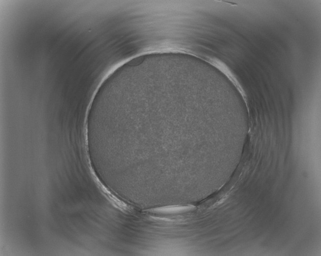 X0000056351388200509232054