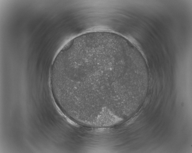 X0000056351390200509232054