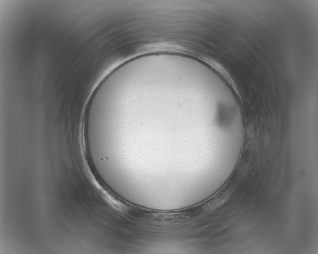 X0000056351391200509232054