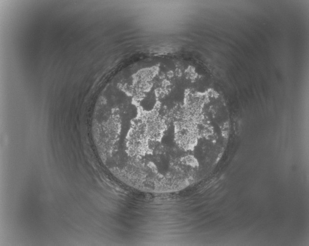 X0000056351393200509232053