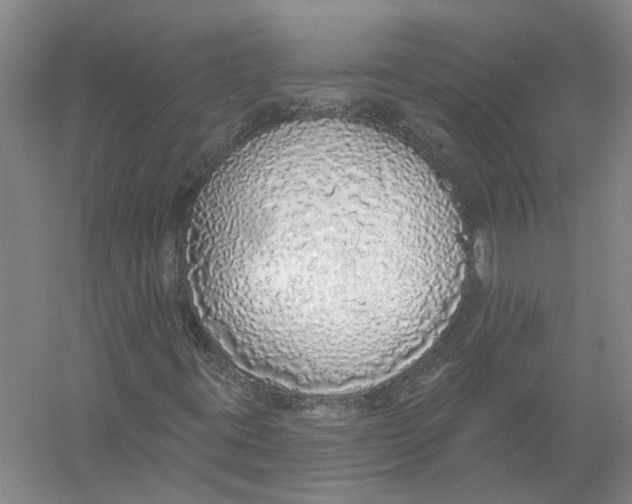 X0000056351395200509232053