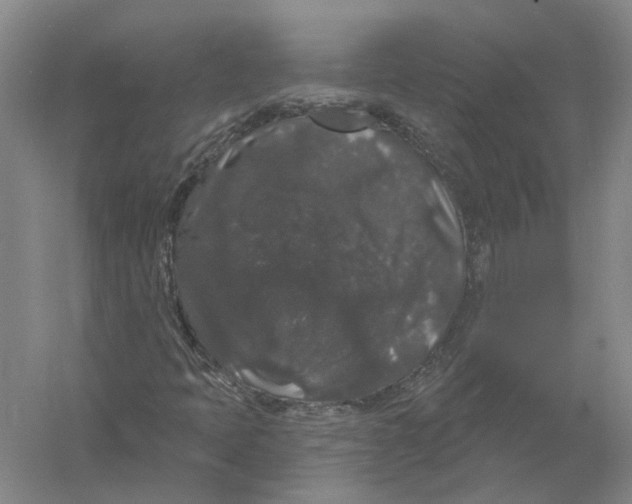 X0000056351397200509232053