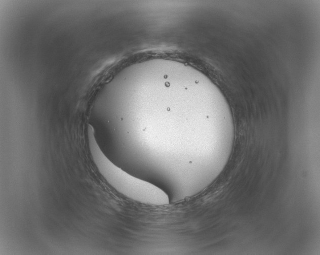 X0000056351398200509232053