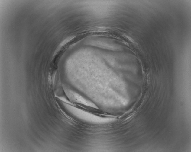 X0000056351402200509232053