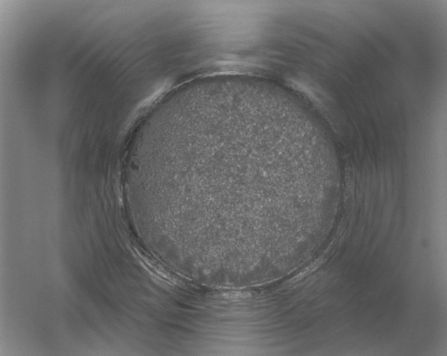 X0000056351403200509232053