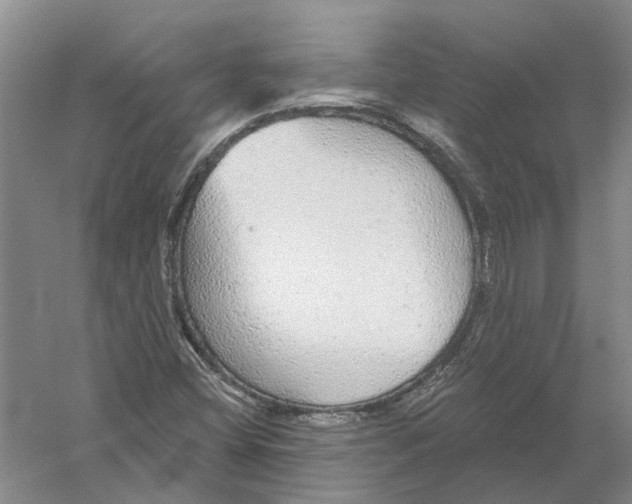 X0000056351404200509232053