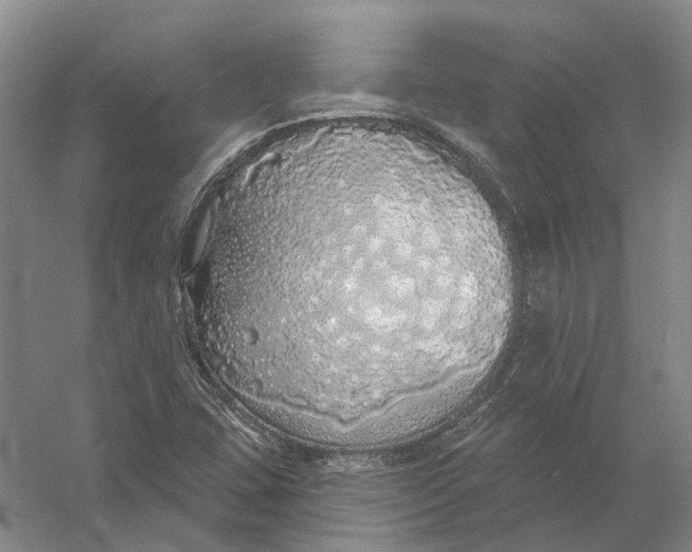 X0000056351407200509232053