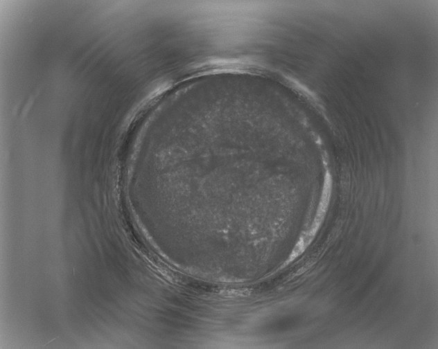 X0000056351411200509232053