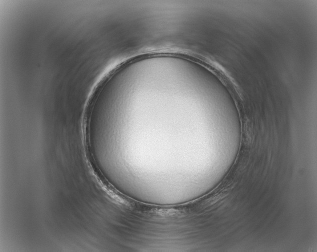 X0000056351416200509232053