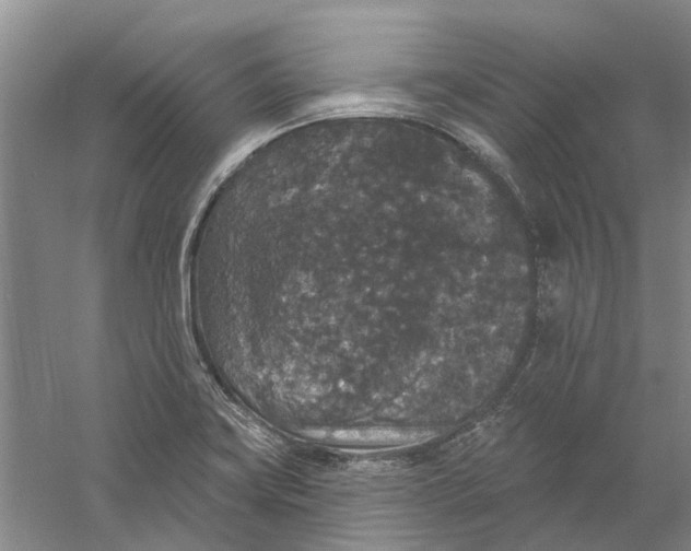 X0000056351419200509232053