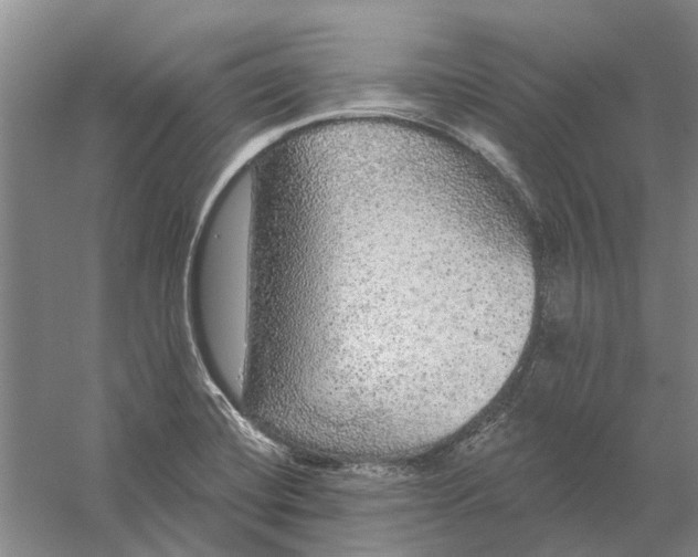 X0000056351420200509232053