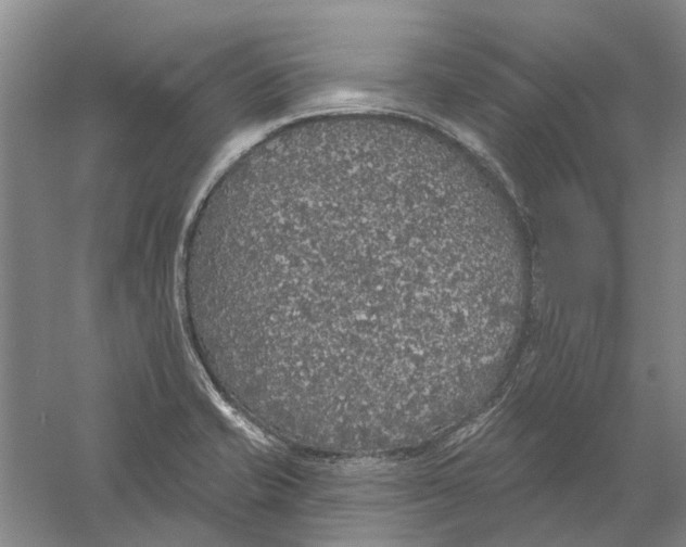 X0000056351421200509232053