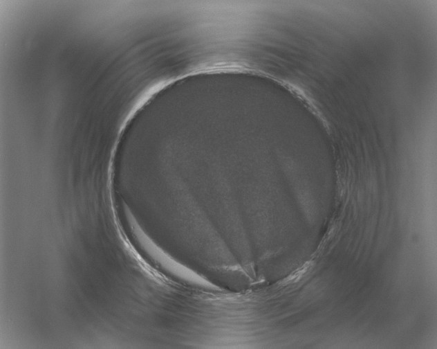 X0000056351422200509232053