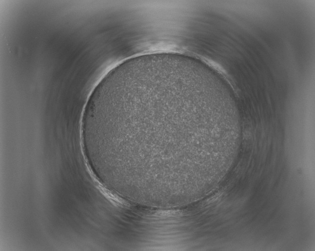 X0000056351423200509232053