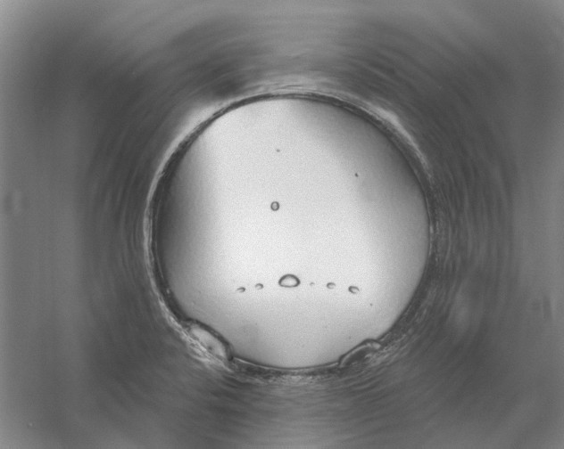 X0000056351424200509232053