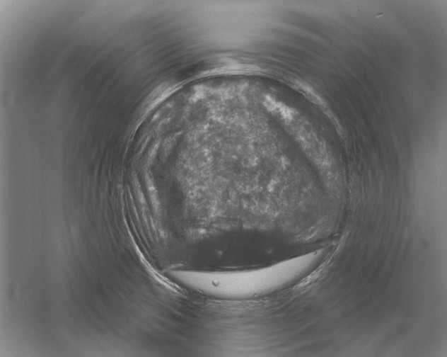 X0000056351425200509232053