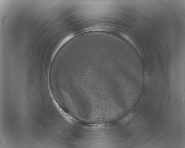 X0000056351426200509232053