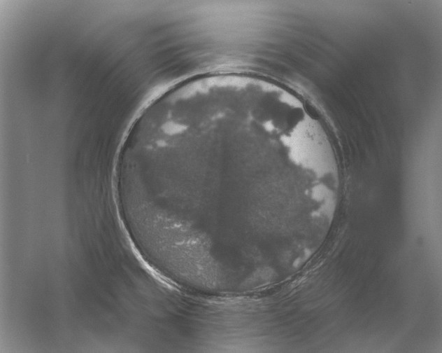 X0000056351429200509232053