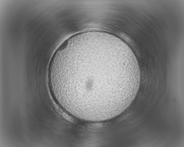 X0000056351431200509232053