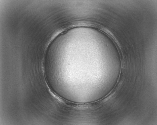 X0000056351433200509232054