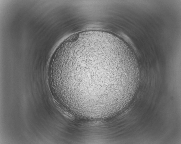 X0000056351435200509232054