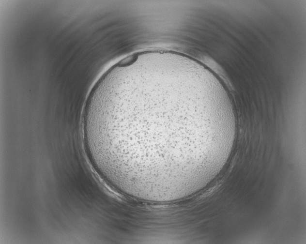 X0000056351436200509232054