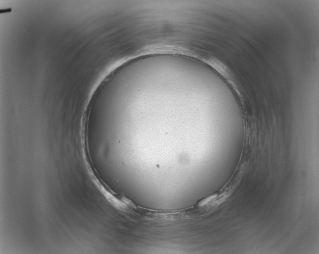 X0000056351438200509232054