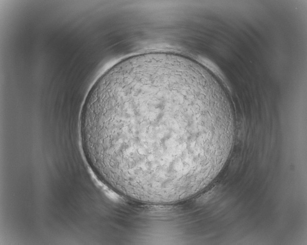 X0000056351439200509232054