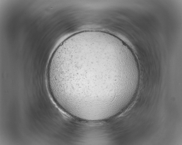 X0000056351440200509232054