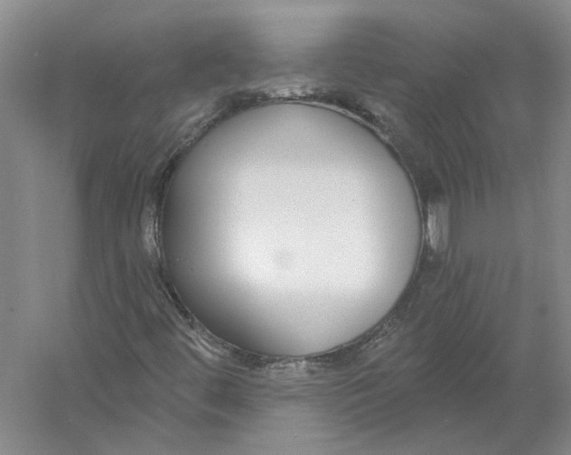 X0000056351444200509232053