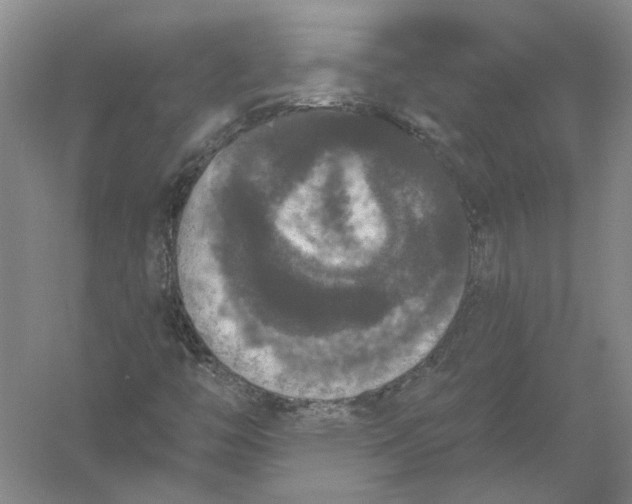 X0000056351446200509232053