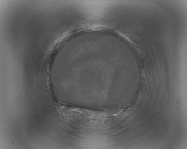 X0000056351447200509232053