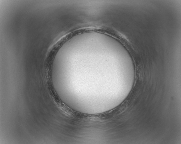 X0000056351448200509232053