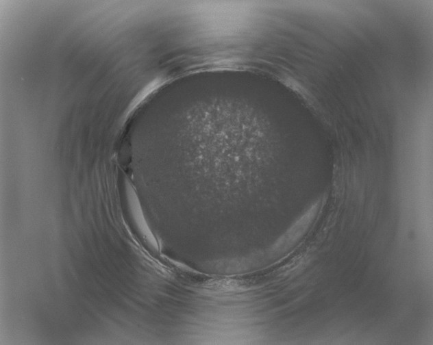 X0000056351450200509232053