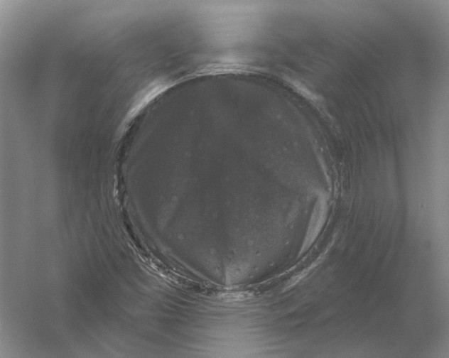 X0000056351453200509232053