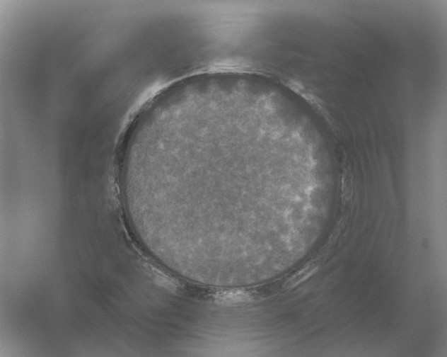 X0000056351454200509232053