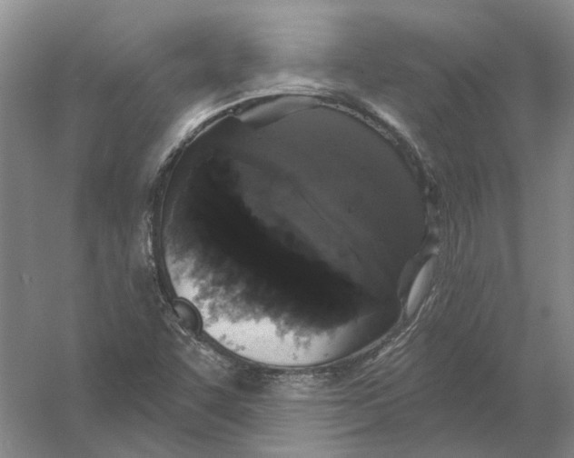 X0000056351455200509232053