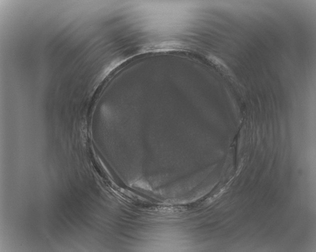 X0000056351457200509232053